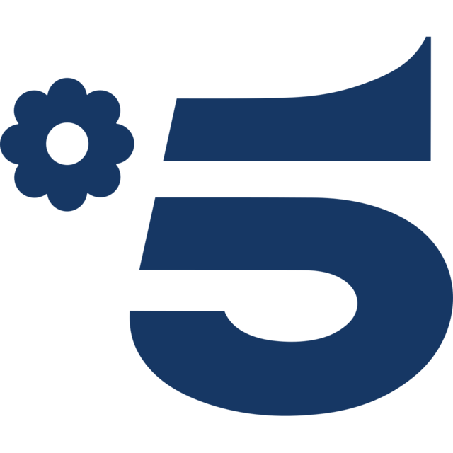 logo-privato: canale 5