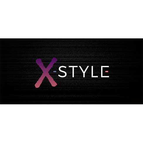 logo-privato: x-style